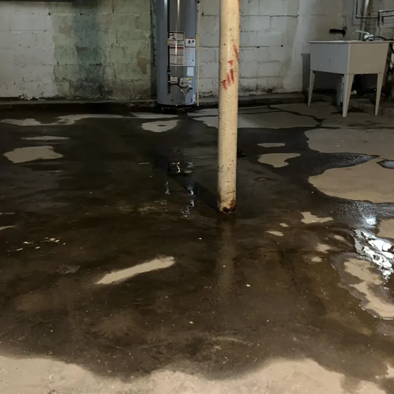 Emergency Water Extraction And Removal in Stone County, MO